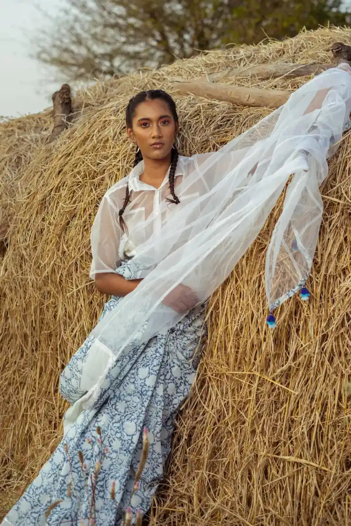 Ilamra kalamkari craft hand block printed organic cotton Indigo dye and white organza saree