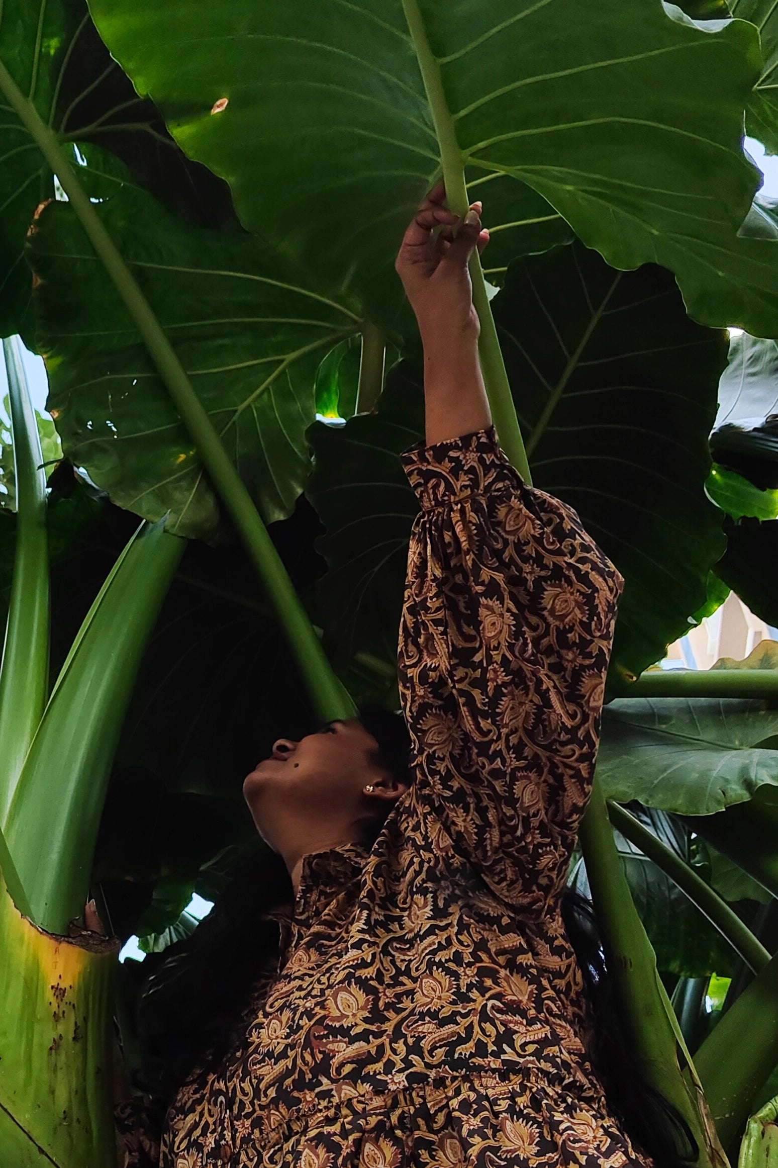 Ilamra hand block printed Kalamkari art organic cotton naturally dyed black, hazel, and beige, ruffle detailing, balloon sleeves ending in cuffs, calf-length dress