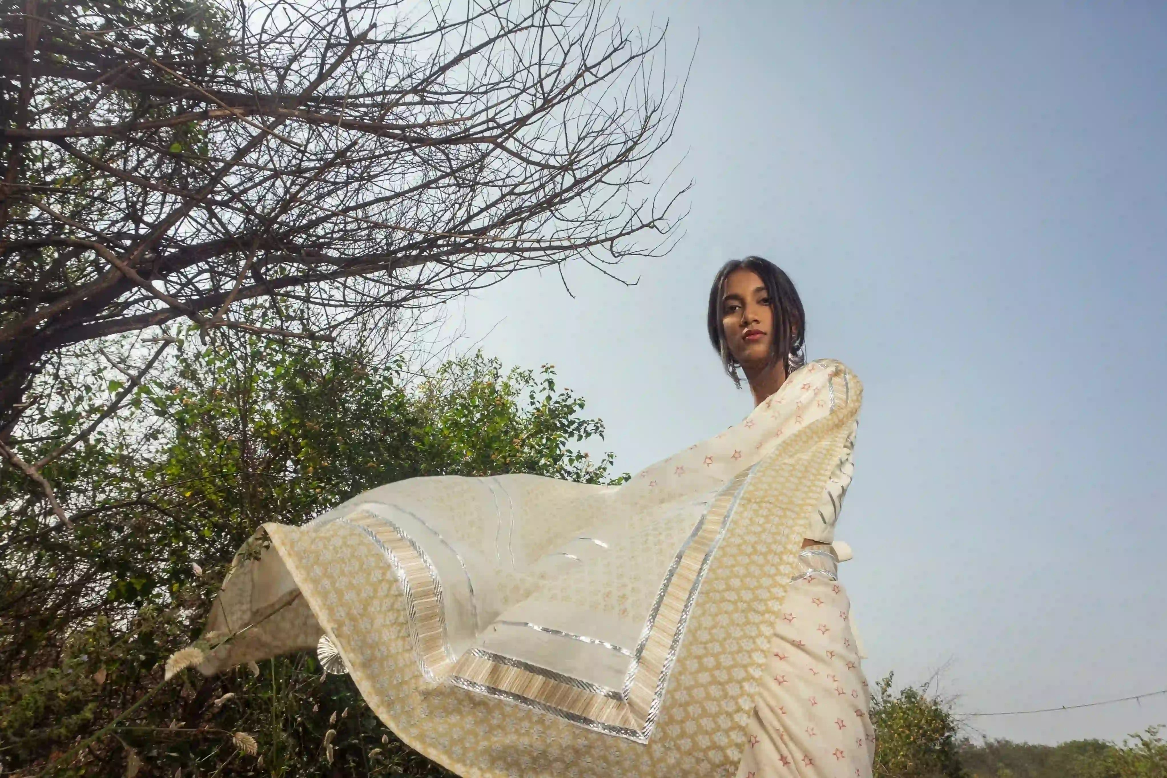 Ilamra kalamkari craft hand block printed organic cotton Pebble white base with an olive green border and silver detailing saree