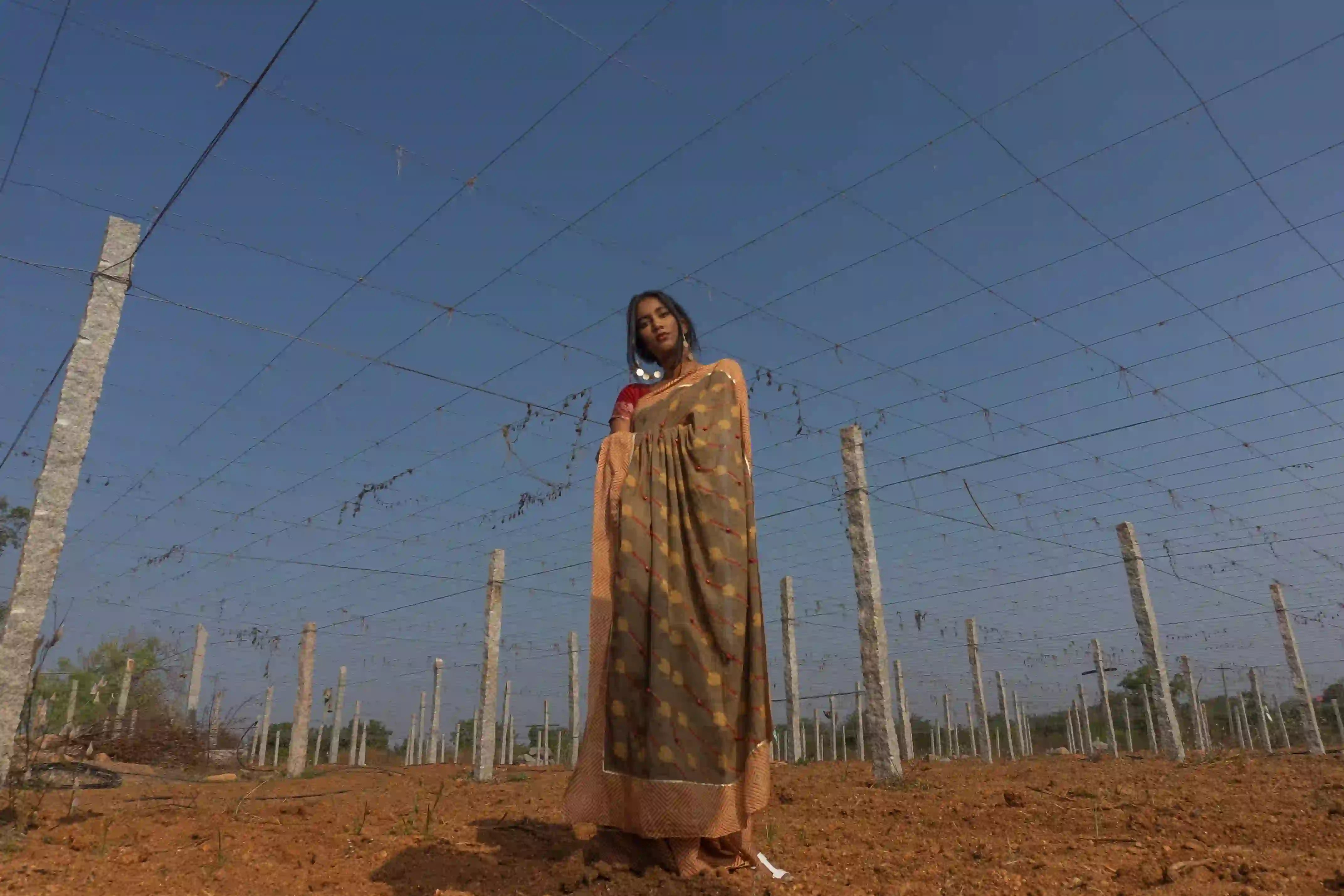 Ilamra kalamkari craft hand block printed organic cotton Brownish green base with a madder red border and beige motifs saree