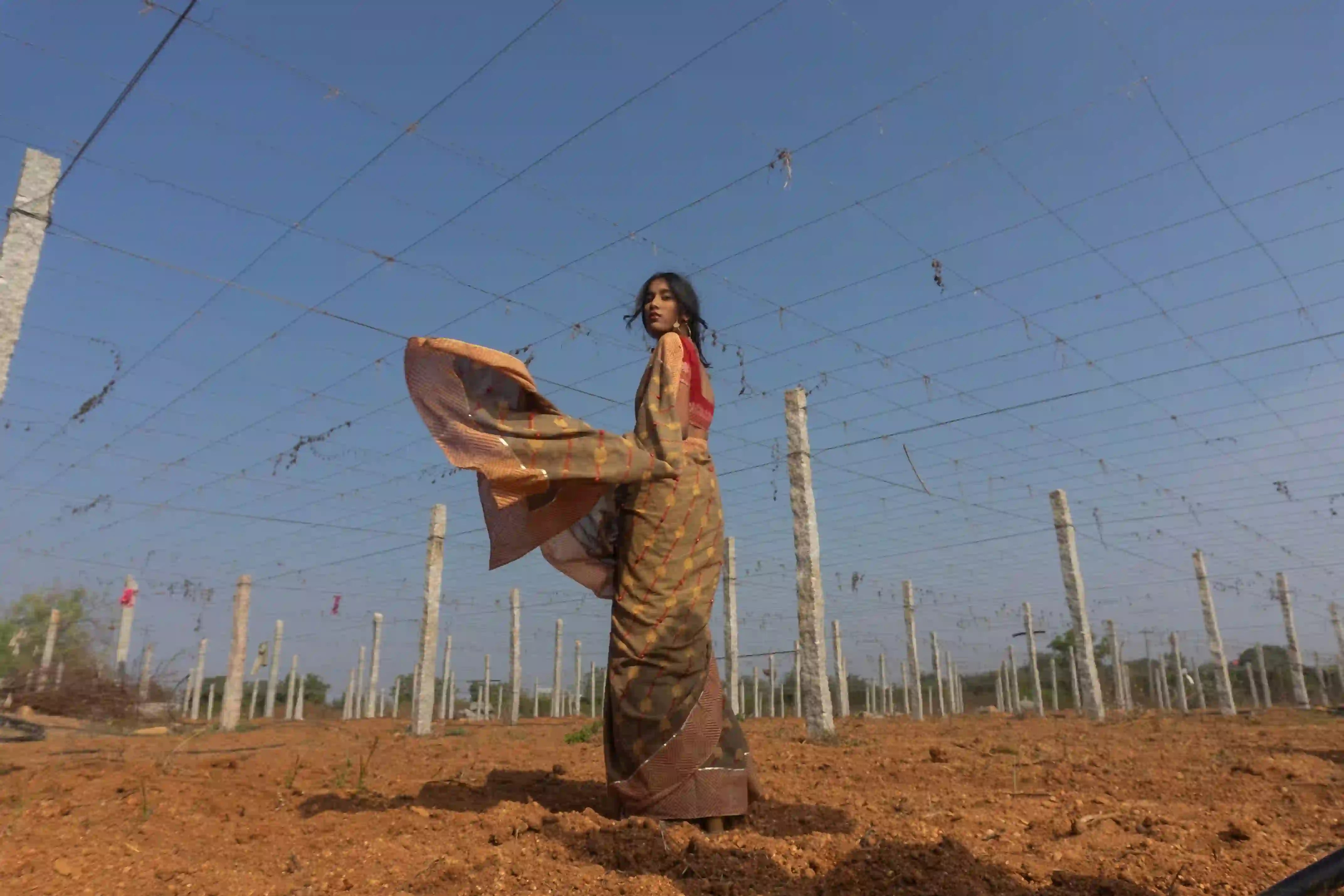 Ilamra kalamkari craft hand block printed organic cotton Brownish green base with a madder red border and beige motifs saree