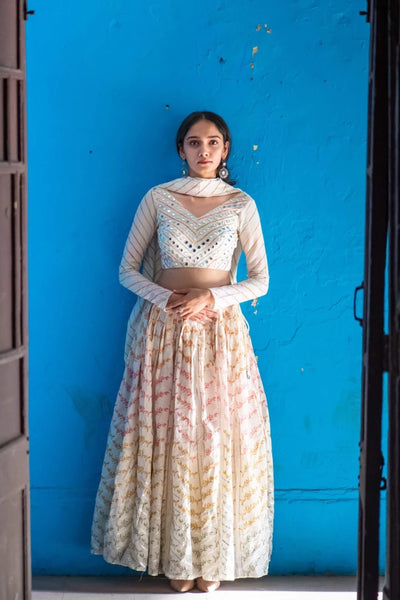 Peppercorn Chevron Lehenga