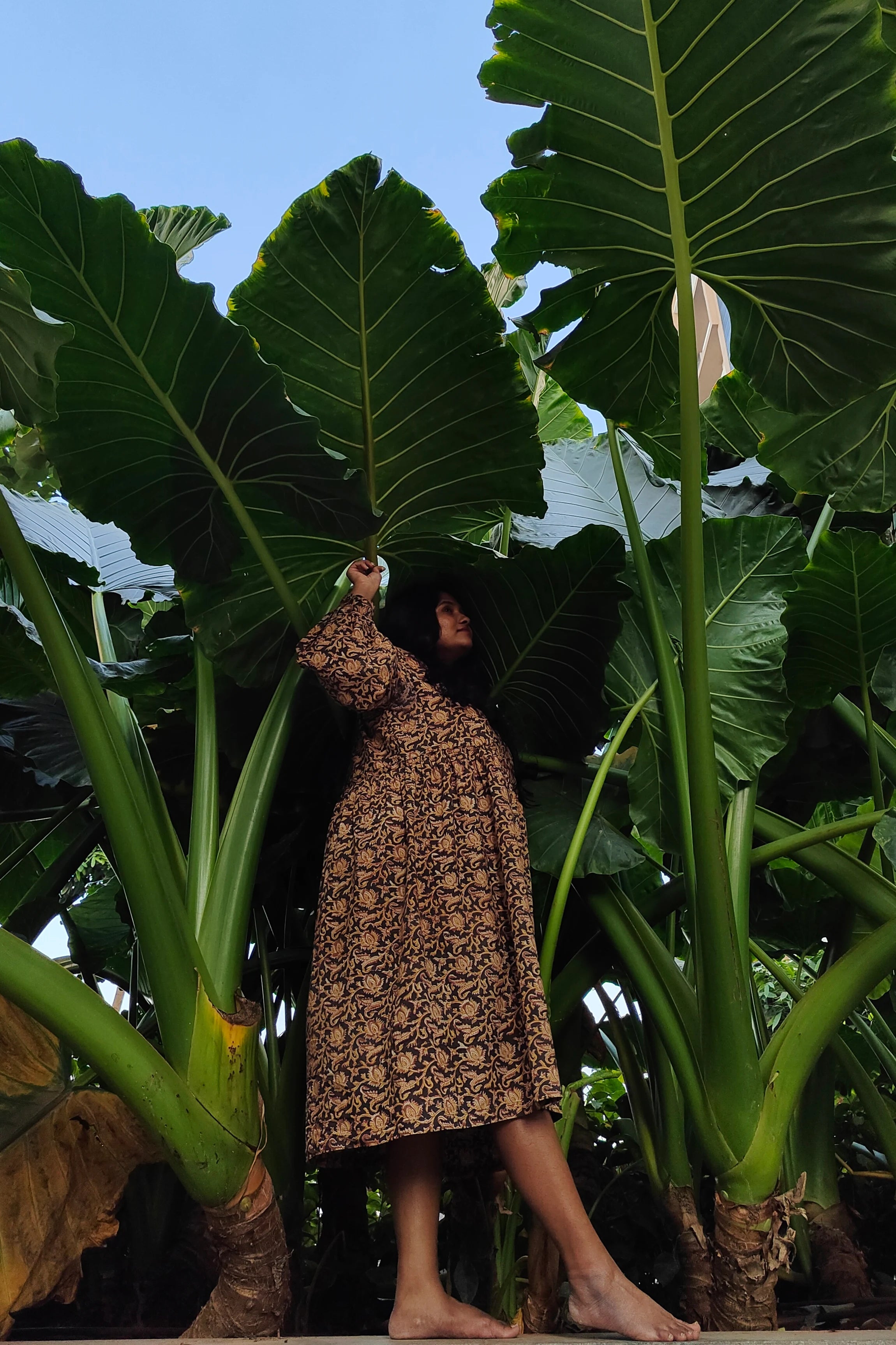 Ilamra hand block printed Kalamkari art organic cotton naturally dyed black, hazel, and beige, ruffle detailing, balloon sleeves ending in cuffs, calf-length dress